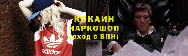 ECSTASY Алзамай