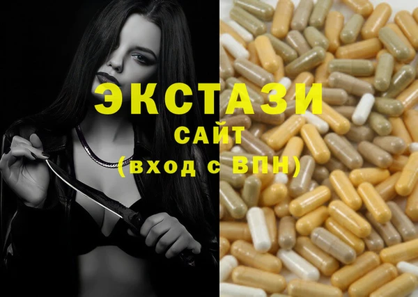ECSTASY Алзамай